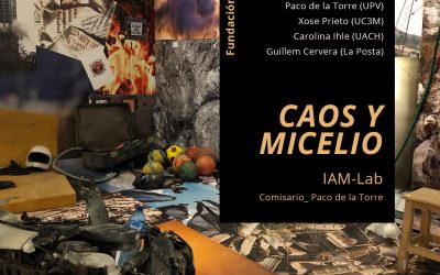 CONVERSATORIO: Caos y autoorganización. Visualidad crítica, juego y formas de colaboración