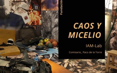 Exposición Caos y Mecelio